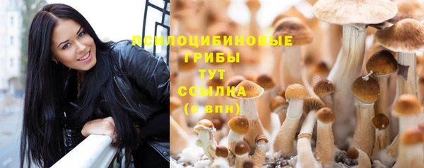 мдпв Волосово