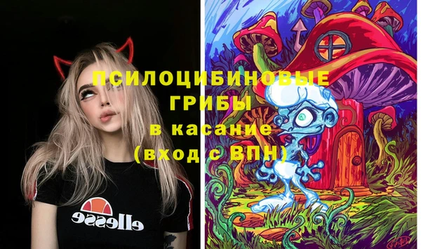 мдпв Волосово