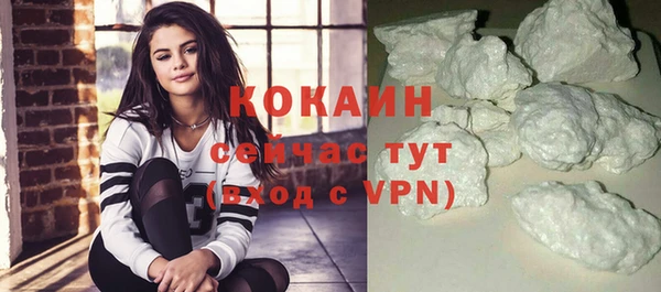 прущая мука Вяземский