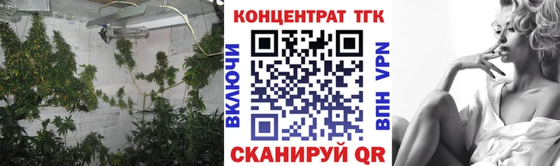 Купить закладки  Киреевск  ТГК Wax 